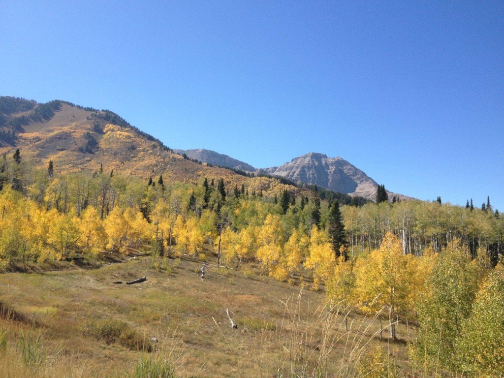 view from the top of the Alpine Loop