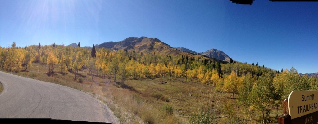 panorama from the top of the Alpine Loop